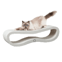 Cat Sticker by CanadianCat