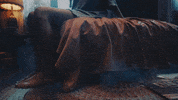 Shocked Music Video GIF by Taylor Swift