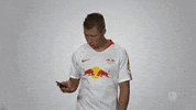 rb leipzig GIF by Bundesliga