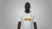 rb leipzig GIF by Bundesliga