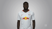 rb leipzig GIF by Bundesliga