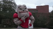 thinking uga GIF by University of Georgia