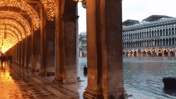 Venice's St Mark's Square Flooded after Dam System Fails