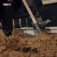 Funeral Grave GIF by TRT