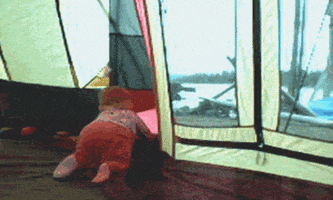 dog lol GIF by America's Funniest Home Videos