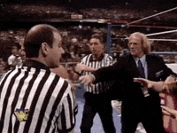 bret hart wrestling GIF by WWE