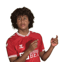 No Idea What Sticker by Bristol City FC