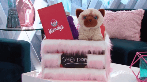 Big Brother Canada GIF by Global TV