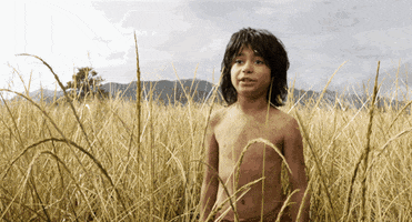 super bowl disney GIF by Disney's The Jungle Book
