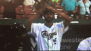 baseball dancing GIF by Kane County Cougars