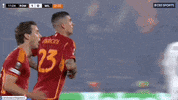 Europa League Football GIF by UEFA
