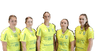 Team Handball Sticker by HC Gelpe/Strombach