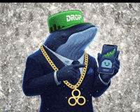 Memecoin Xrp GIF by $DROP