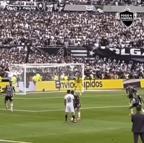 Libertadores Bfr GIF