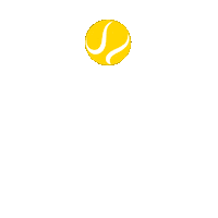 Sport Ball Sticker by ParionsSport