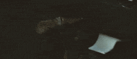 constantly hating young thug GIF