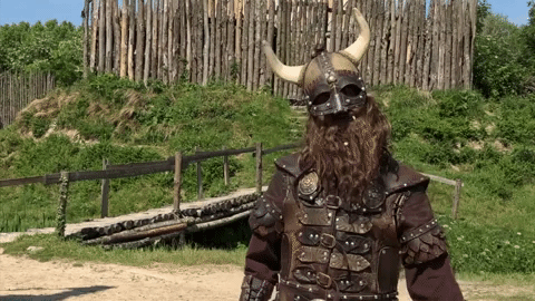 come on viking GIF