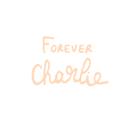 charlie teamcharlie Sticker by Girls In Paris