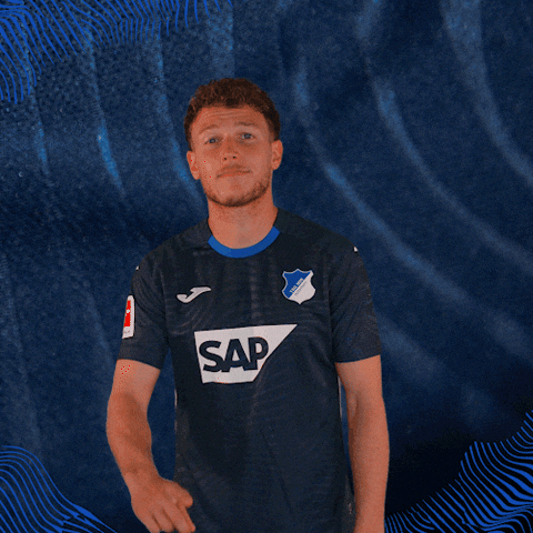 Sport Bundesliga GIF by TSG Hoffenheim