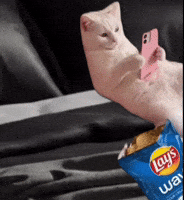 Iphone Ver GIF