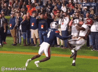 Alabama Football GIF