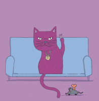 Cat Gata GIF by victorious_es
