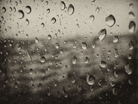 winter raining GIF