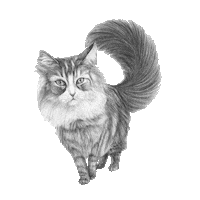 Cat Sticker by AniCura Nederland