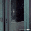 sitewwwreactiongifsus GIF