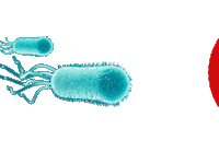 Ecommerce Coli Sticker by ACQUAHOME