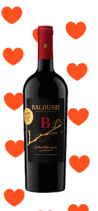 balduzziwines wine chile vino premium Sticker