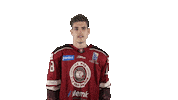 hkmskziar oliver giertl giertl olivergiertl Sticker