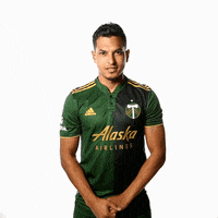 Lets Go Yes GIF by Timbers