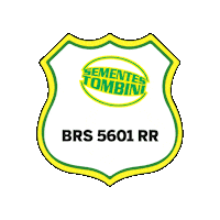 Neo St Sticker by sementestombini