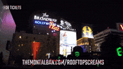 hollywood vine rooftop rooftopmovies rooftopandchill GIF