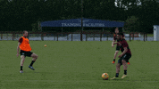 heartofmidlothianfc football heart soccer goal GIF