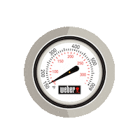 WeberGermanyAustria grill hamburger sommer steak Sticker