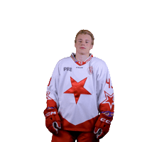 Hcslavia Sticker by HC SLAVIA PRAHA