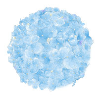 Ru66ishGame ball turn hydrangea karasu Sticker