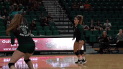 celebration emueagles GIF by EMU Athletics