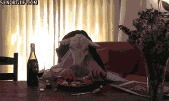 goats wtf GIF by Cheezburger