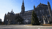 Jack The Bulldog GIF by Georgetown University
