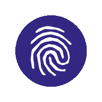 Art Spinning Sticker by Cape Tracks