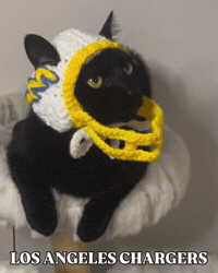 La Chargers Football GIF by Respective