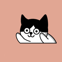 Happy Cat GIF by Moca Network