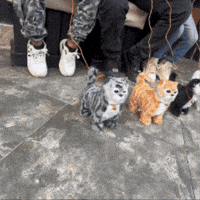 Navidad GIF by Cómpralo en Casa