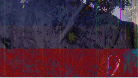 Video Color GIF by jorgemariozuleta