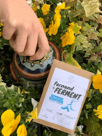 Lescopainsgourmands homemade yogurt lescopainsgourmands fernandleferment GIF