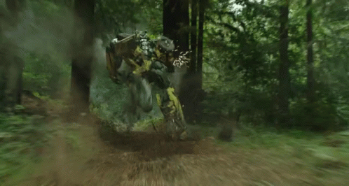 hailee steinfeld transformers GIF