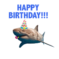 Happy Birthday Party Sticker by Shark Week
